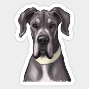 Cute Great Dane Drawing Sticker